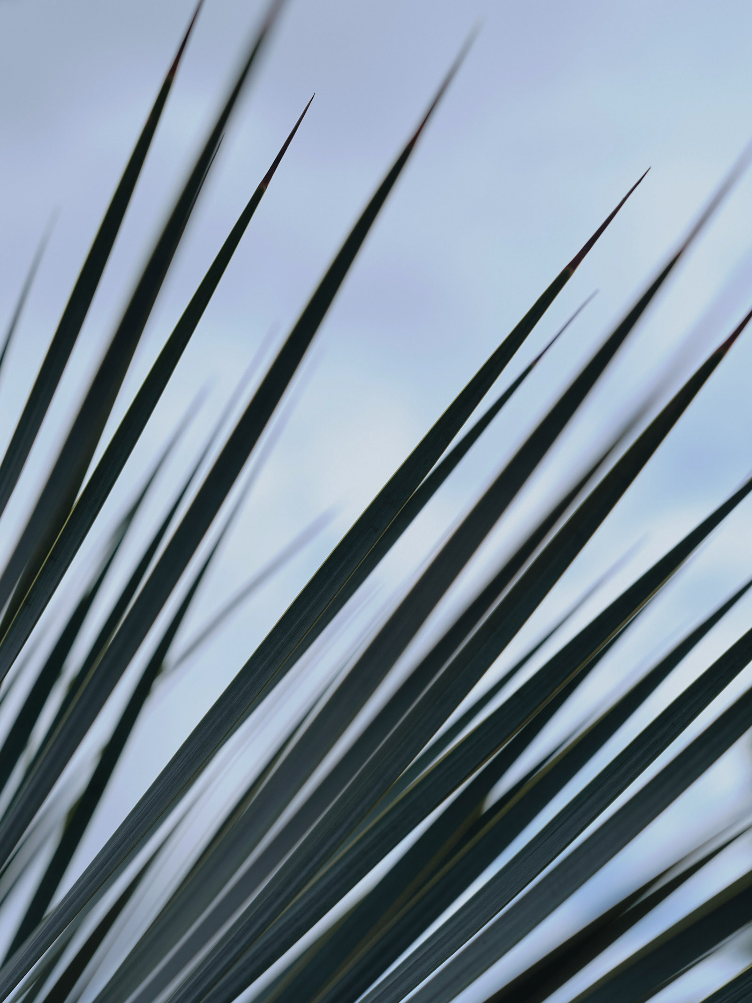 221230_APARTMENT_1_CHARLOTTENBURG_1443